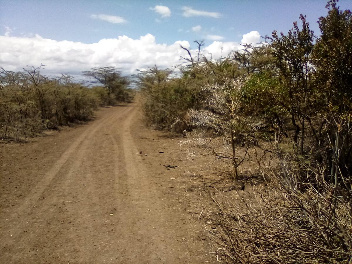 Land at Nanyuki - 5