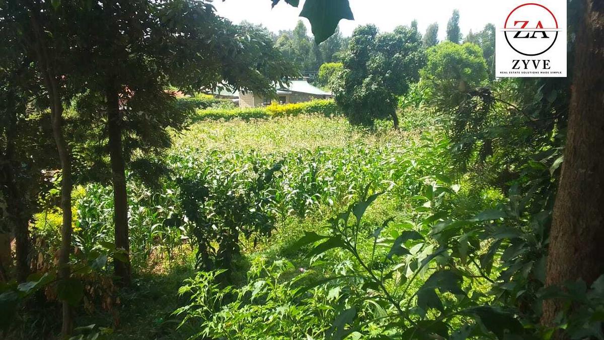 0.25 ac Land at Mwimuto - 8