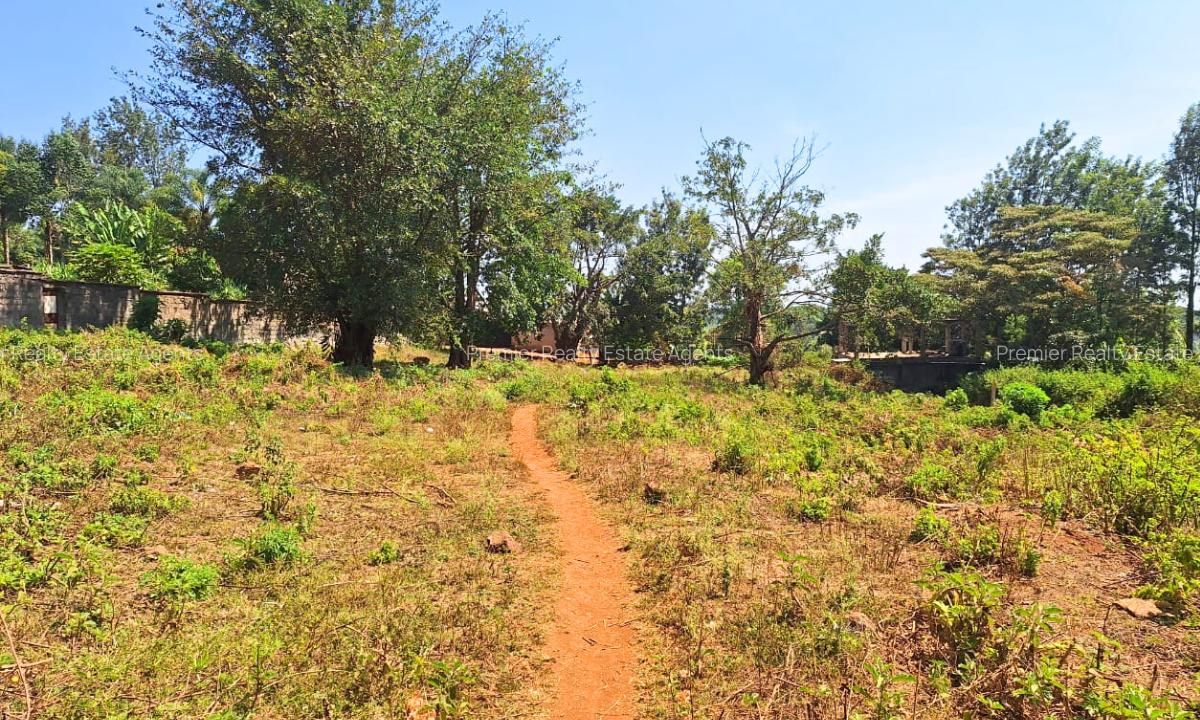 0.75 ac Commercial Land at Thindigua - 4
