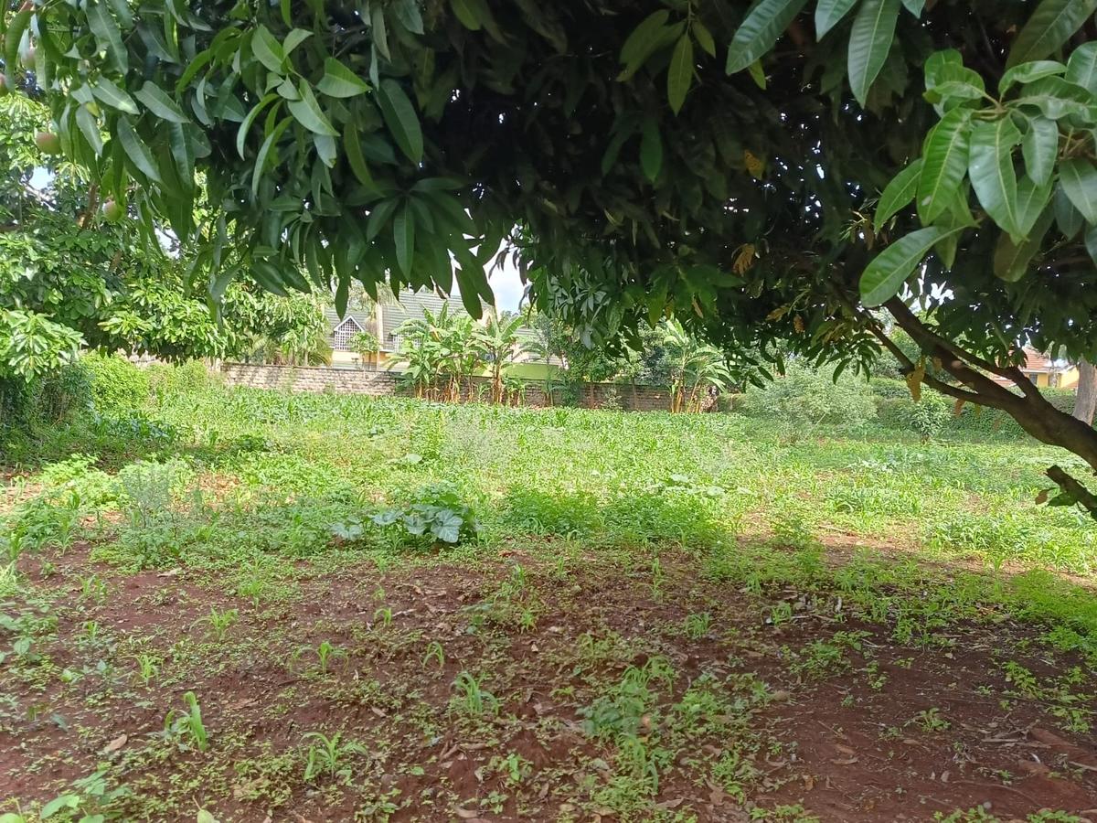 Residential Land at Runda - 4