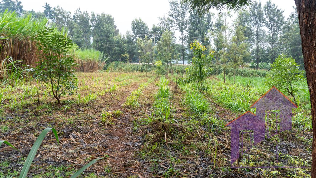 0.5 ac Land at Karen Road - 4