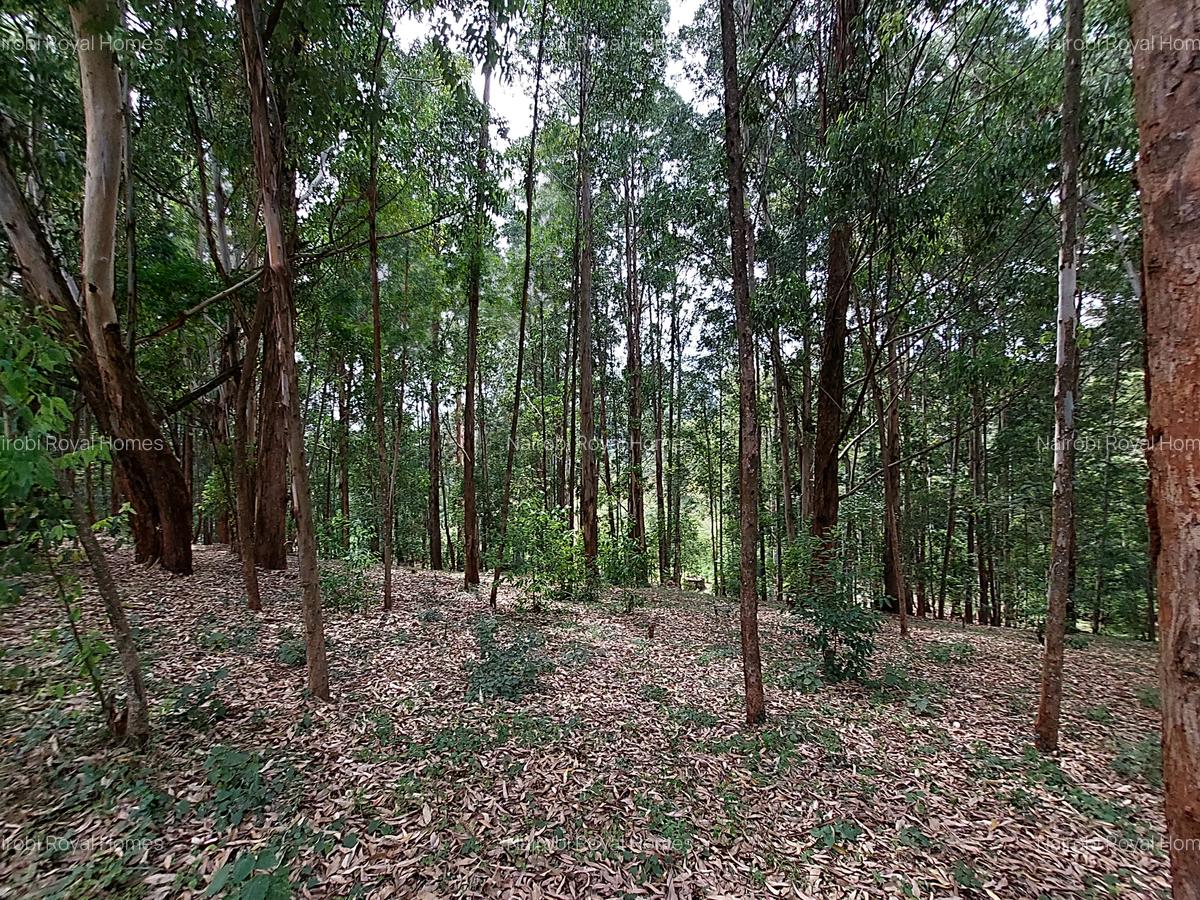 Residential Land at Rosslyn Redhill Road - 9