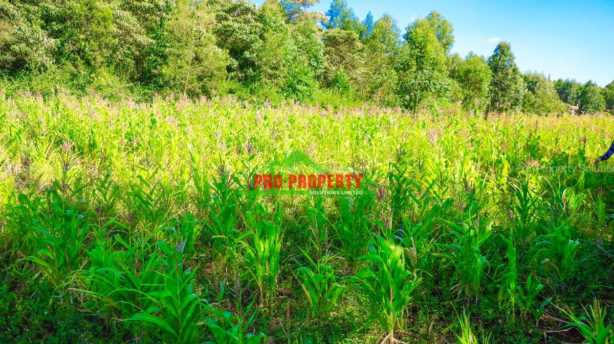 0.1 ha Residential Land at Ondiri - 5