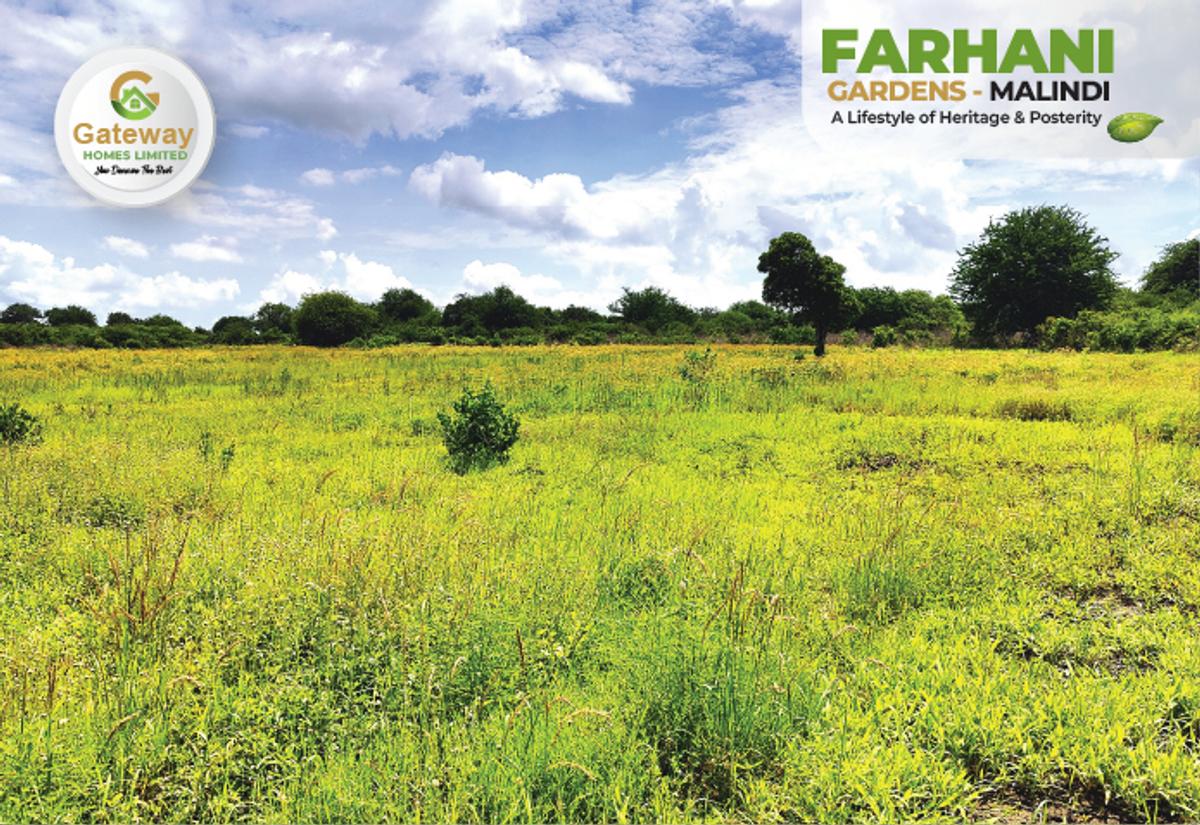 1 ac Residential Land in Malindi - 13