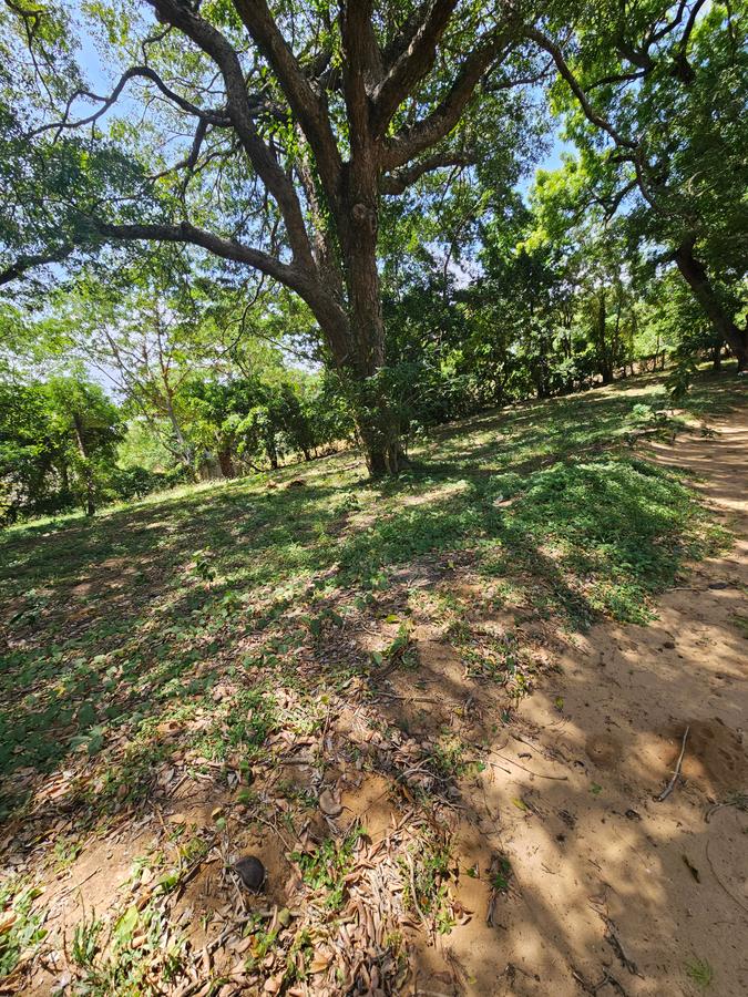 2 ac Land at Mtwapa - 8