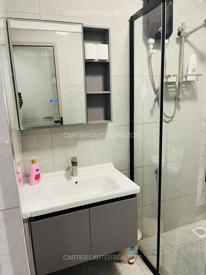 Serviced 1 Bed Apartment with En Suite in Westlands Area - 7