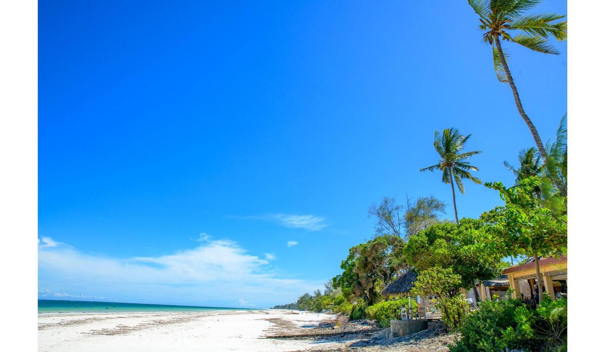 Residential Land in Diani - 11