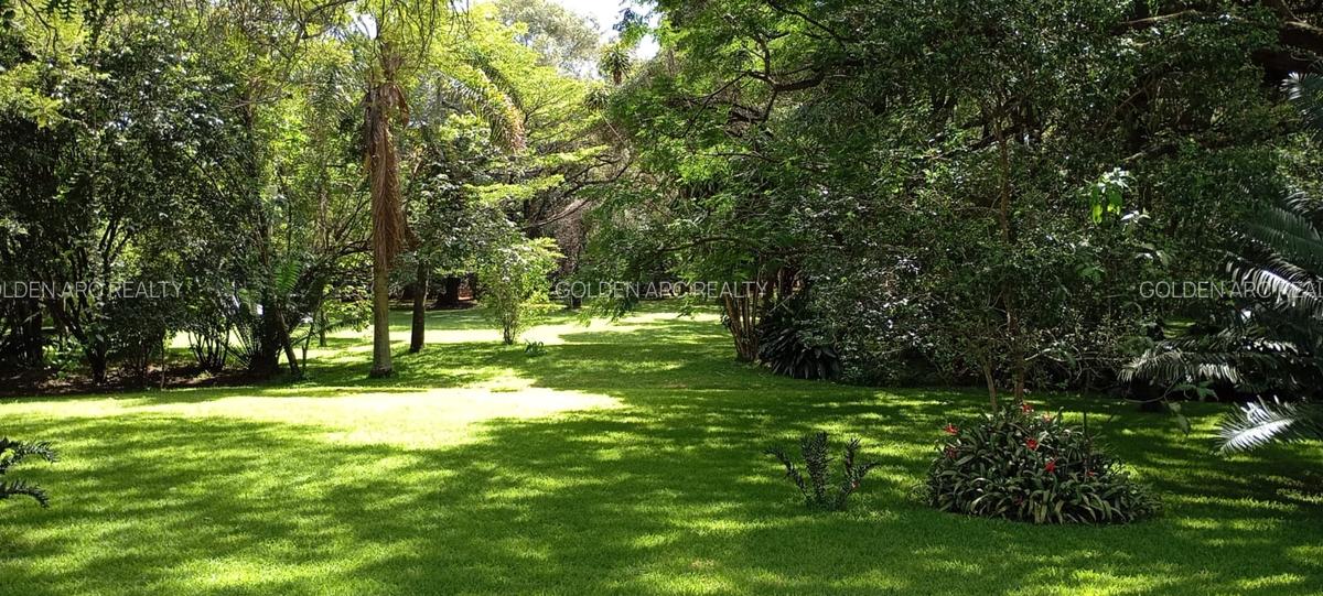 Land in Karen - 5