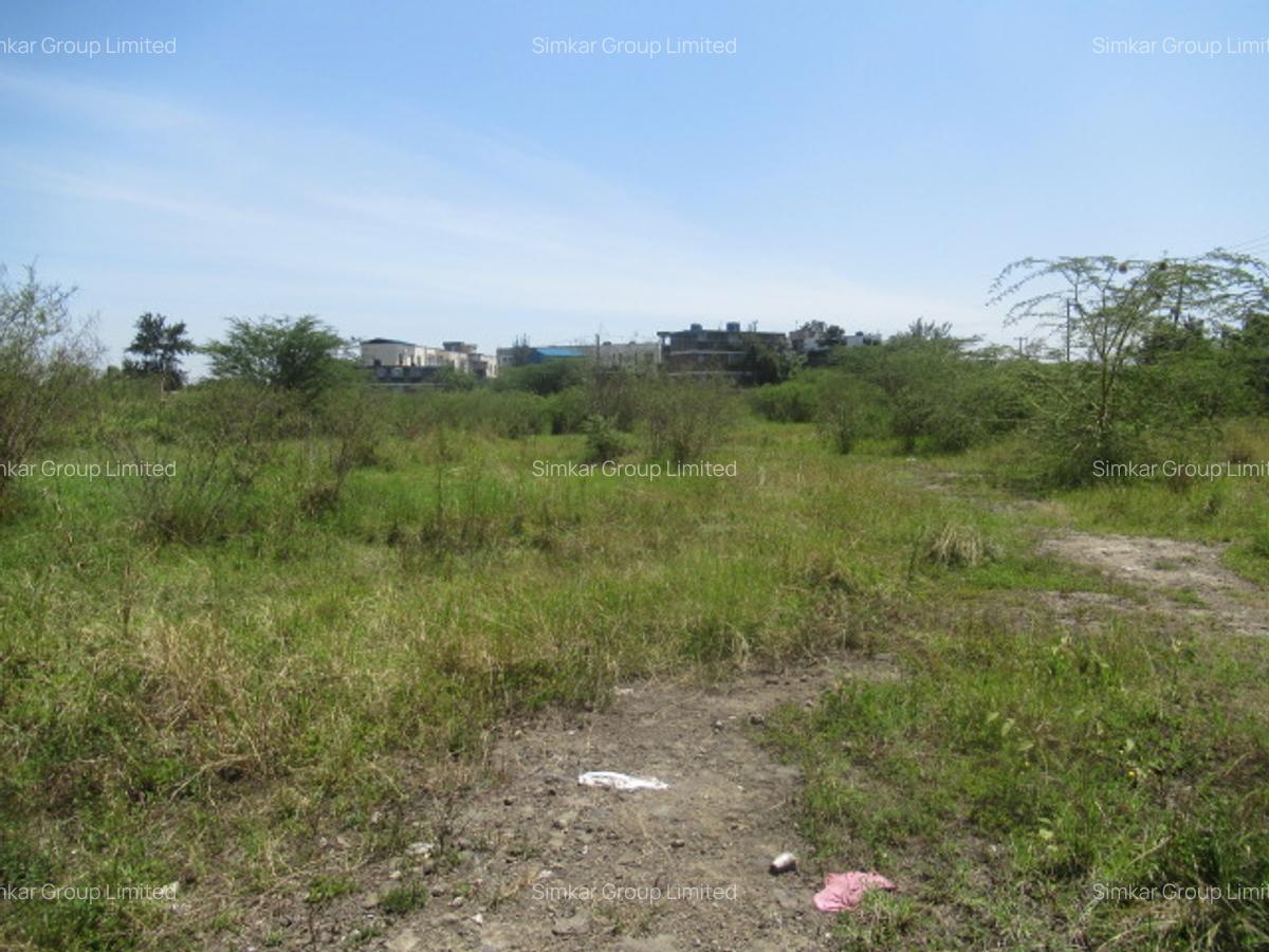 Land at Nyasa Rd - 7