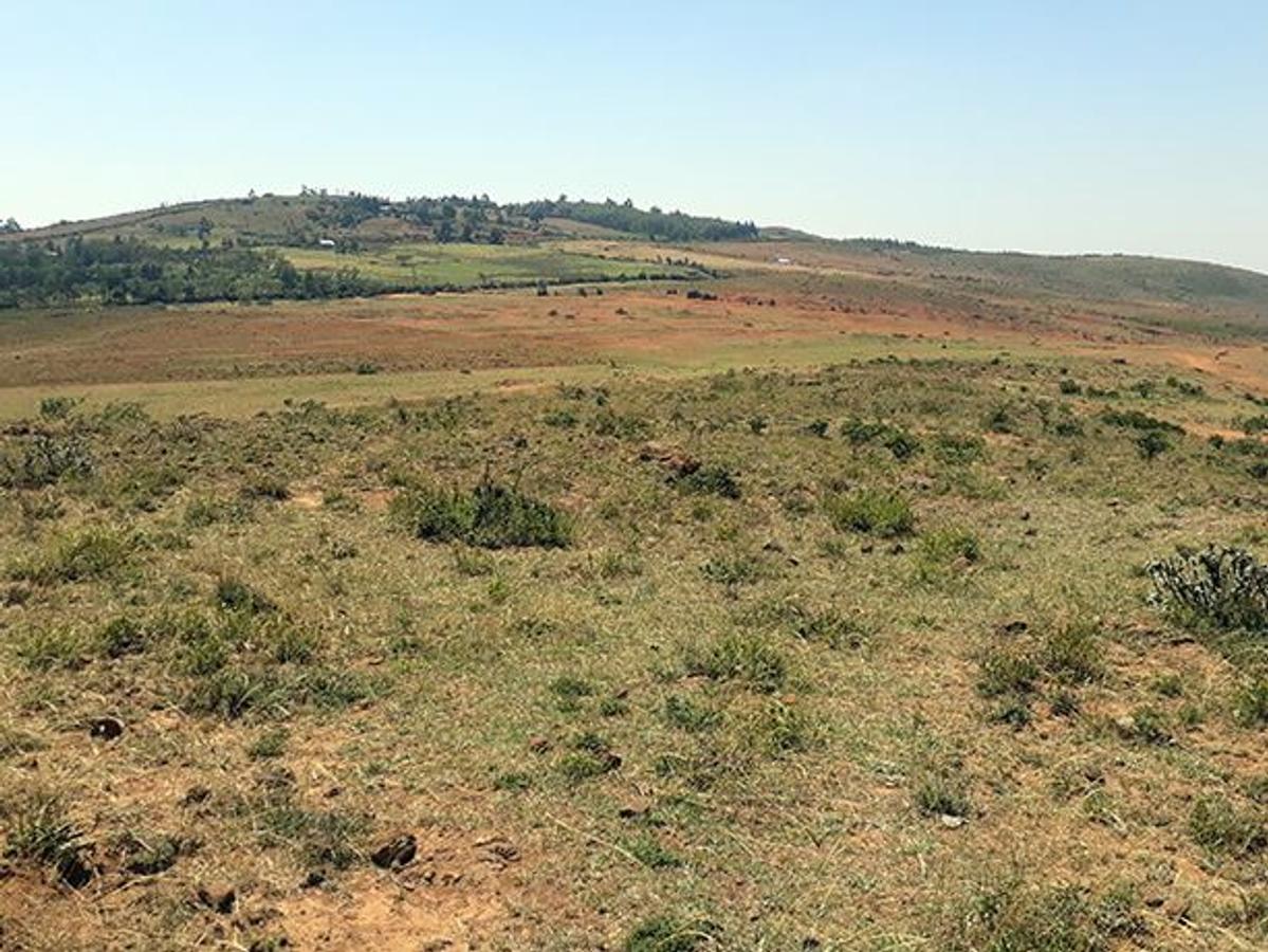 20,235 m² Land in Ndeiya - 2