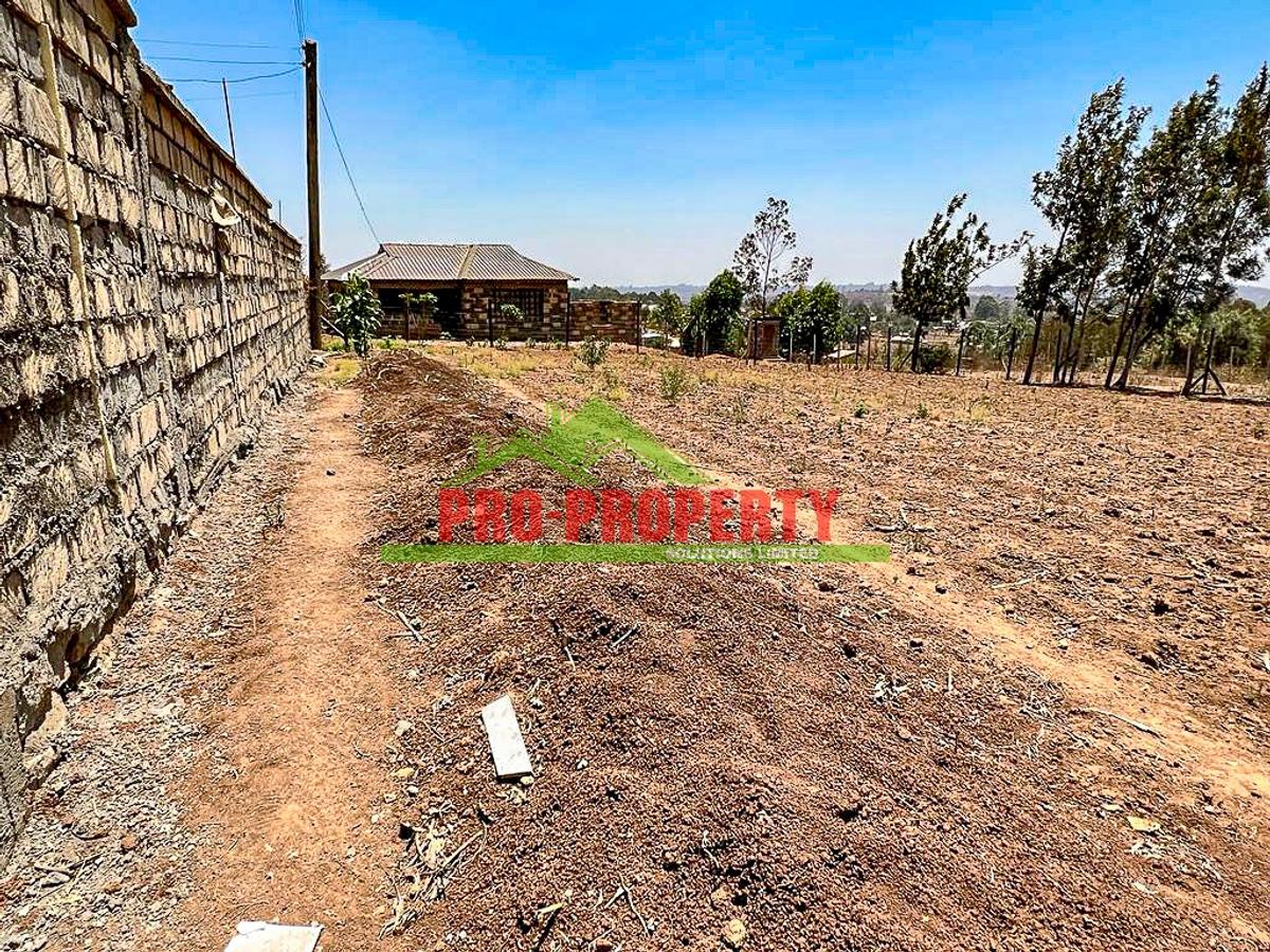 0.1 ha Residential Land in Kamangu - 10