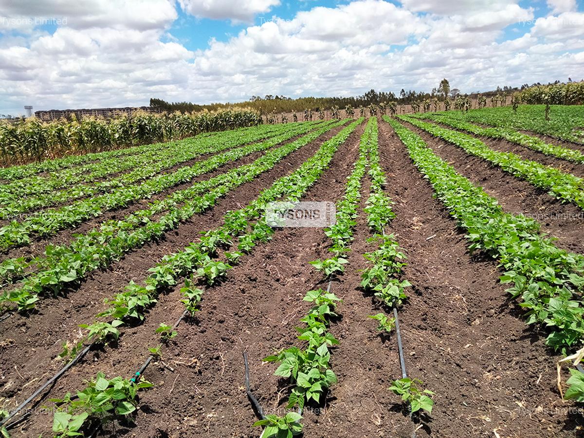 20 ac Commercial Land in Kisaju - 2