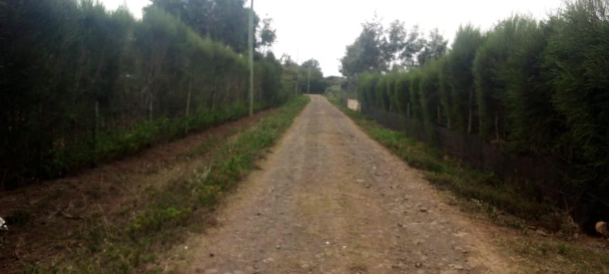 0.125 ac Residential Land at Vineyard Estate - 6