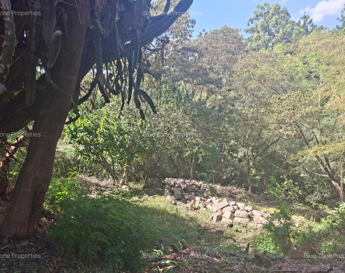 0.75 ac Residential Land at Off Naivasha Avenue - 8