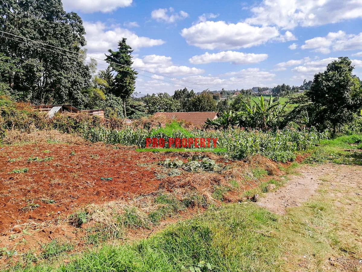 0.125 ac Commercial Land at Kikuyu - 4