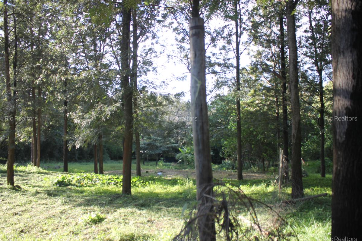 0.6 ha Land at Magadi Road - 11