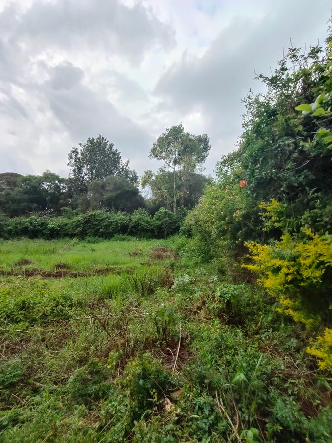 Residential Land at Ndege Road - 3