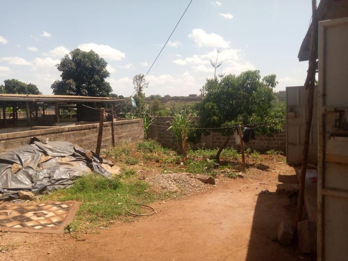 0.25 ac Land at Ngoingwa Estate Thika - 7