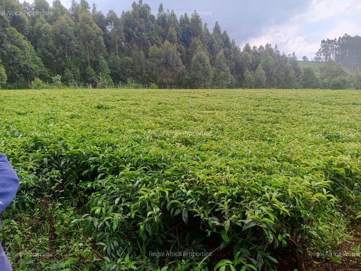 1 ac Land at Riara Ridge - 5