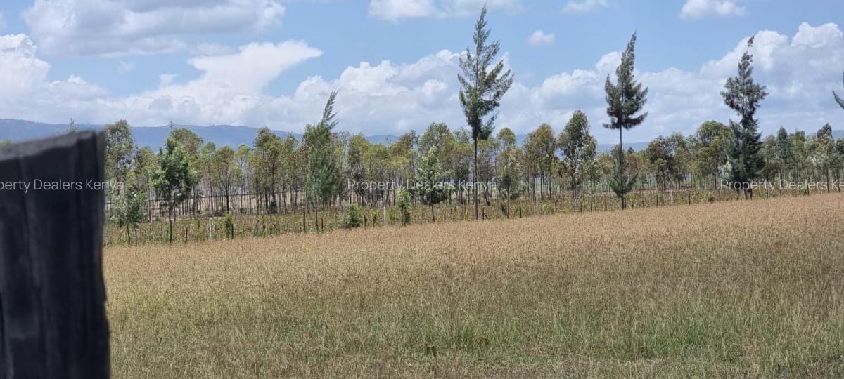 Residential Land at Moi South Lake Road - 3
