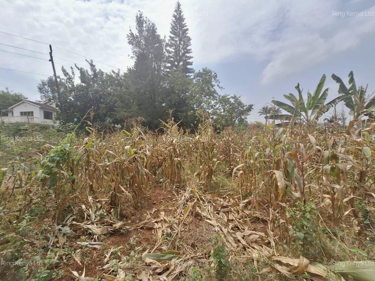 0.62 ac Land at Runda - 3