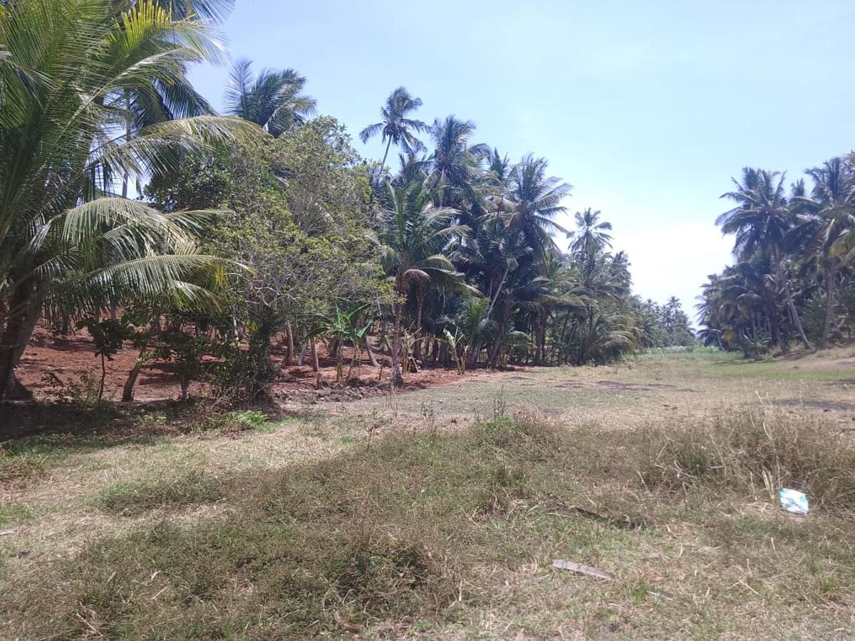 90 ac Land at Ridge - 7