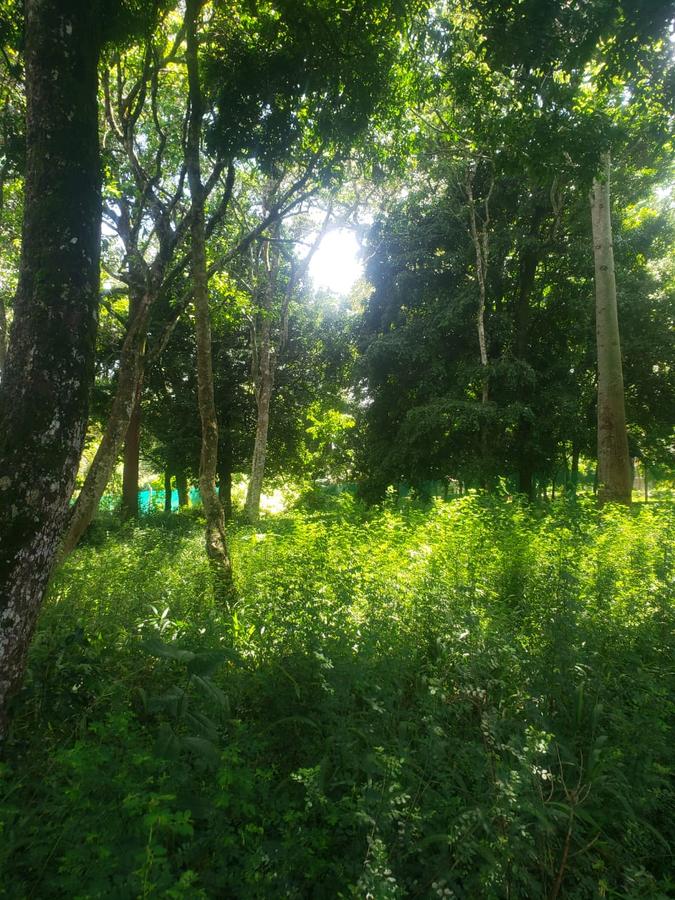 0.5 ac Land in Karen - 3