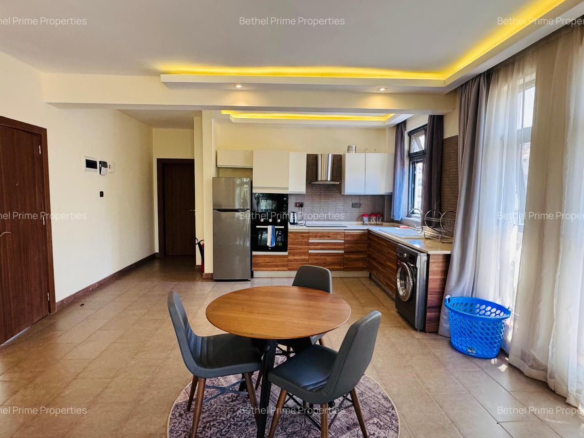 Furnished 1 Bed Apartment with En Suite in Spring Valley - 10