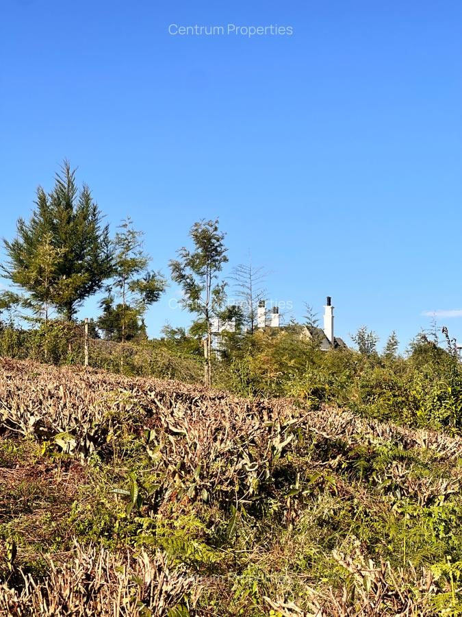 Land at Riara Ridge - 1