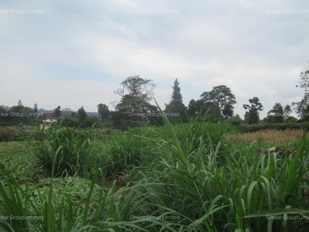 Land at Red Hill - 7