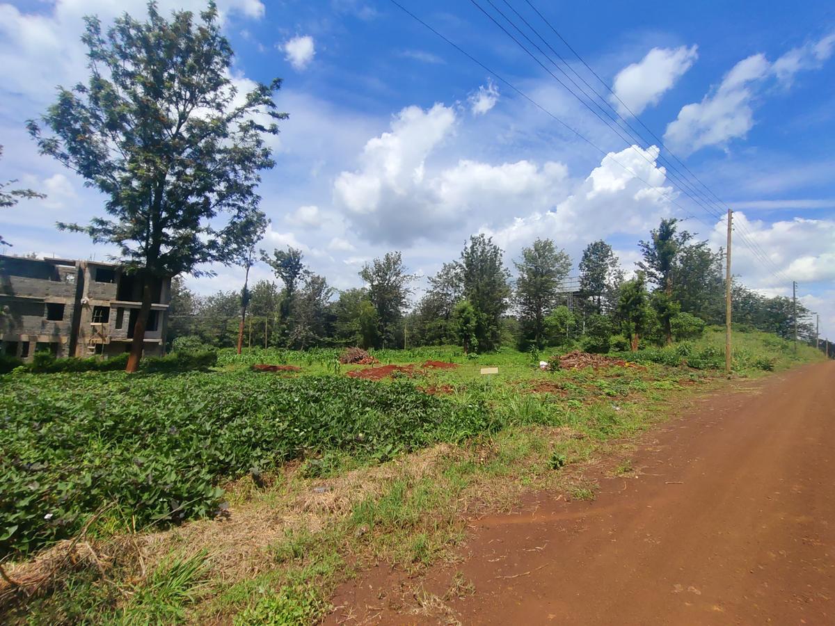 1 ac Commercial Land in Tatu City - 3