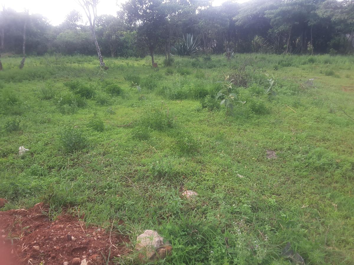 0.125 ac Residential Land in Ongata Rongai - 5