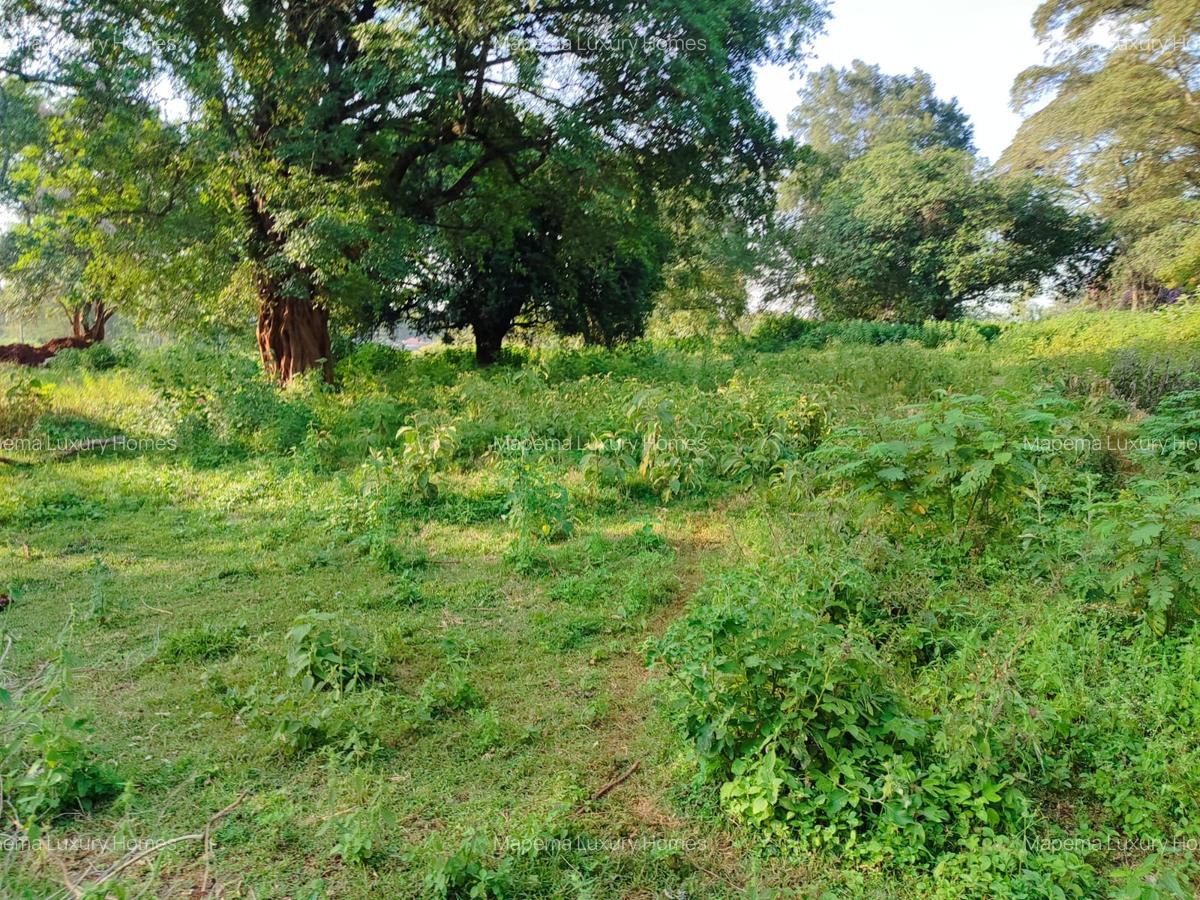 Residential Land at Karen - 18
