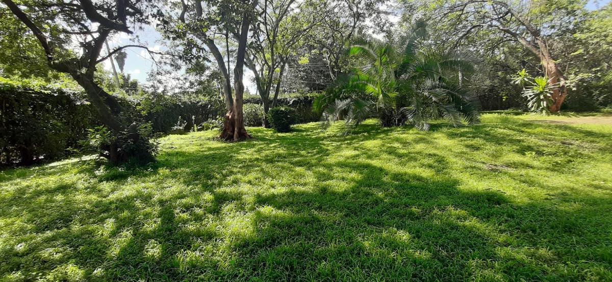 0.5 ac Land at Runda Ridge - 8