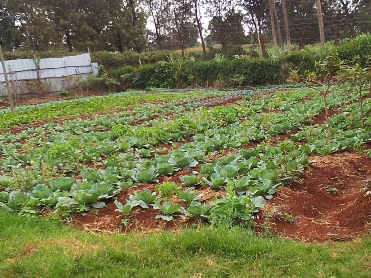 1.89 ac residential land in redhill