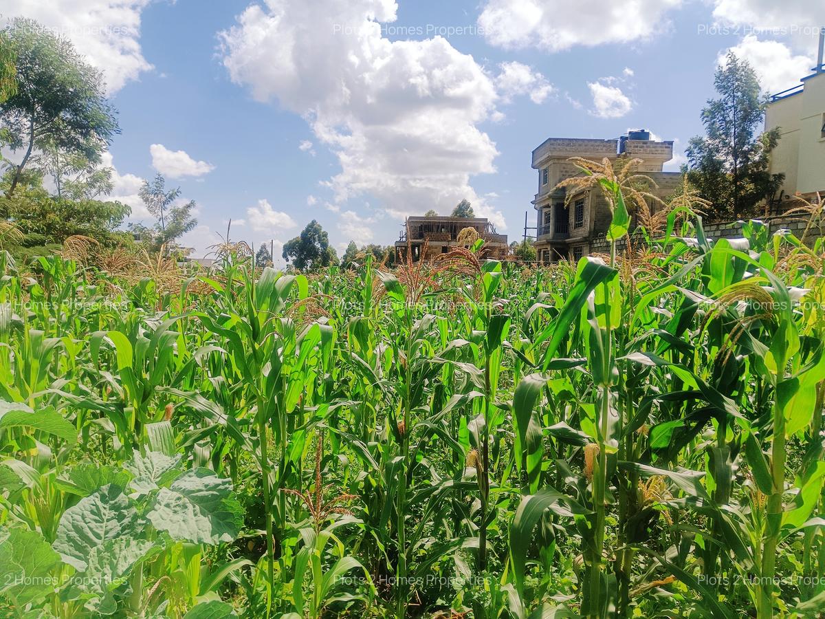 800 m² Residential Land at Nairobi Ndogo Estate - 9