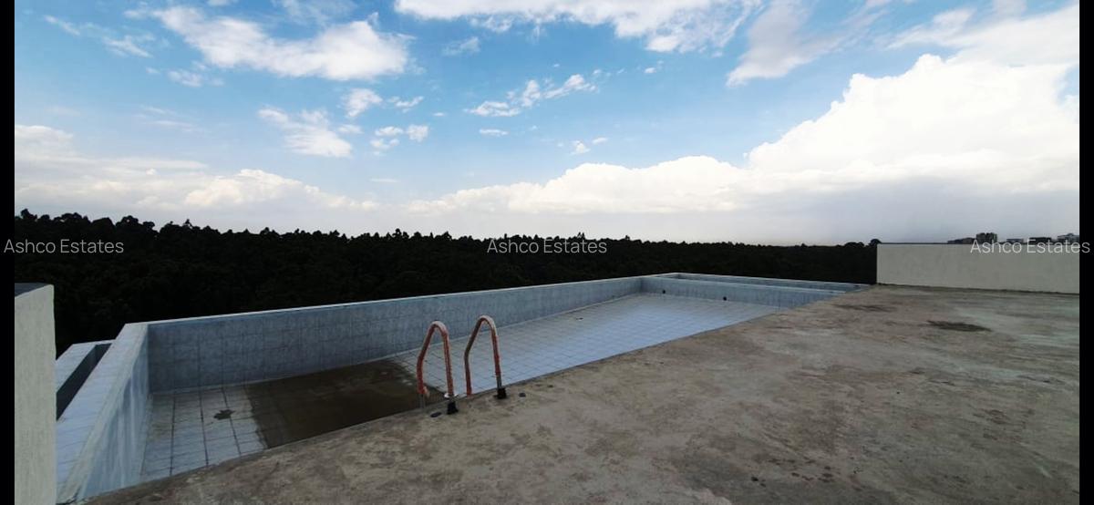 4 Bed Apartment with En Suite in Spring Valley - 20