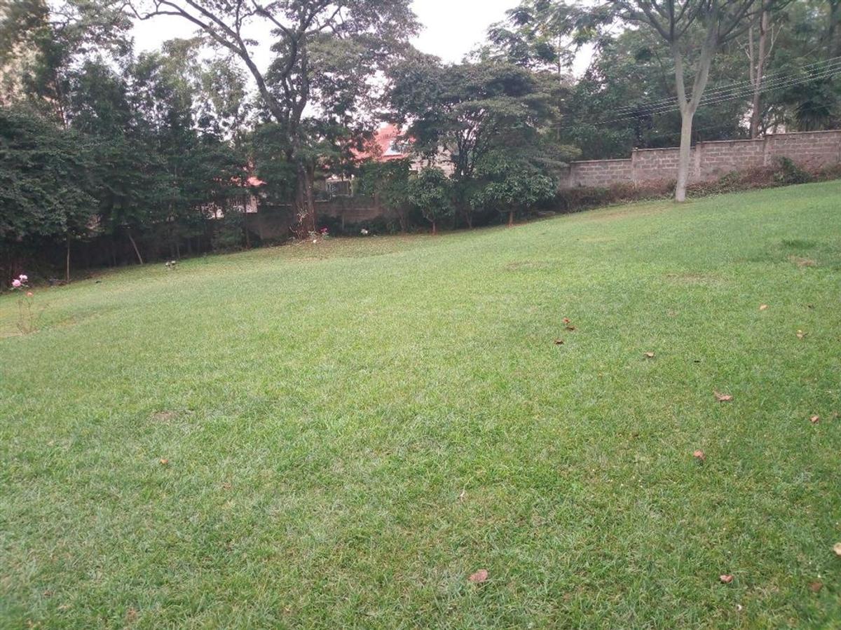 18,212 m² Land at Bogani Road - 1