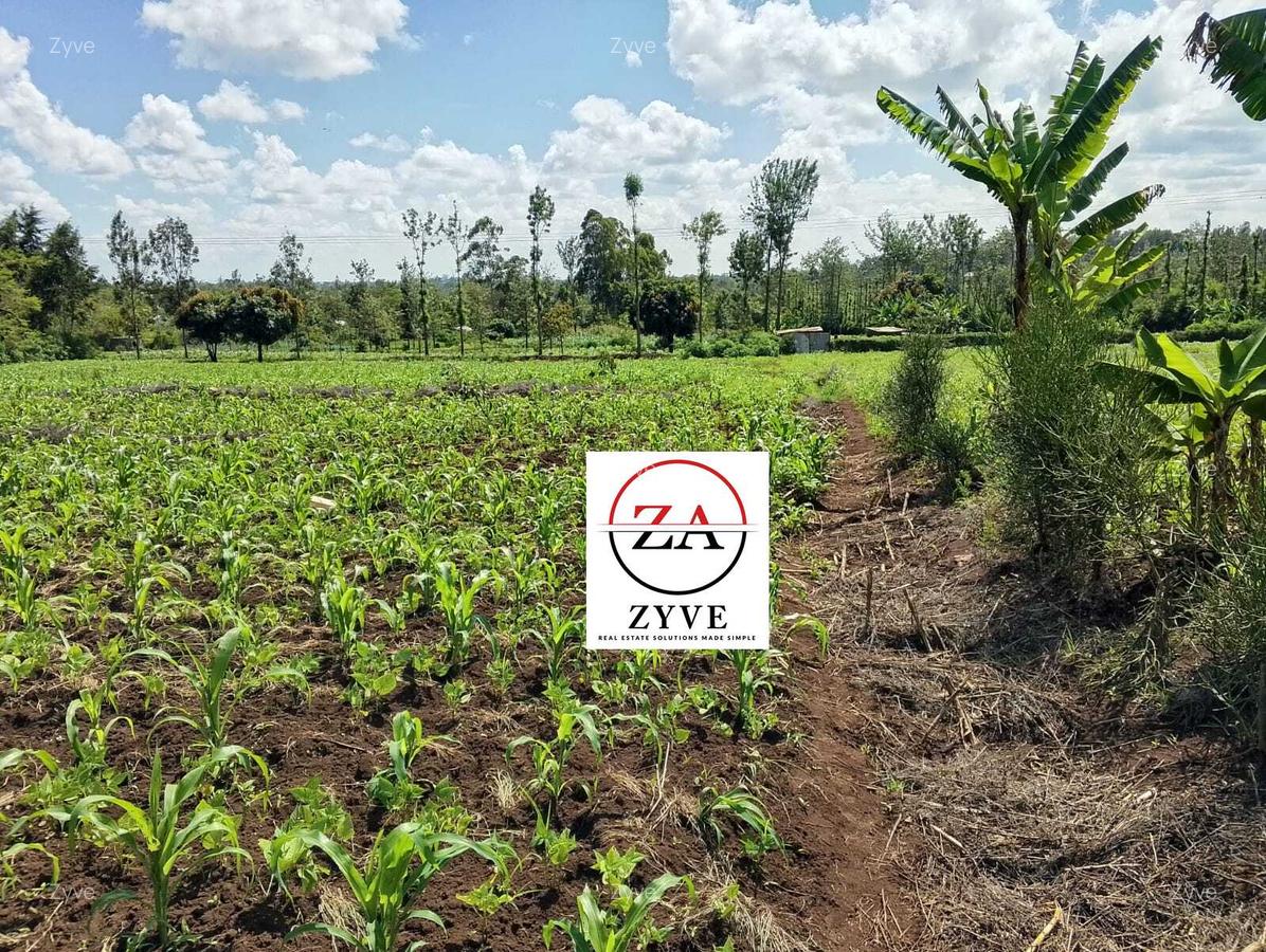 1.5 ac Land at Kenol - 4