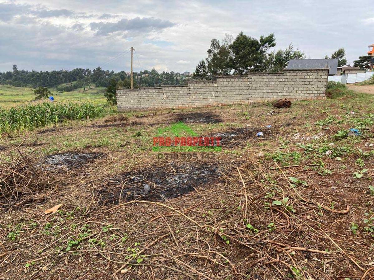 0.05 ha Residential Land in Kikuyu Town - 8