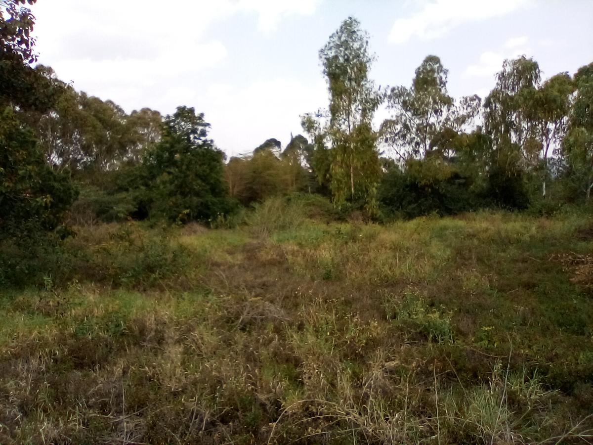 Land at Magadi Rd - 4