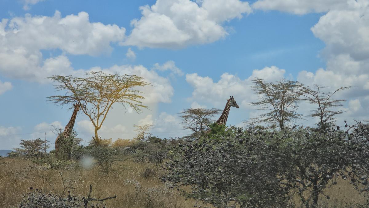 5,000 ac Land at Mombasa Road - 8