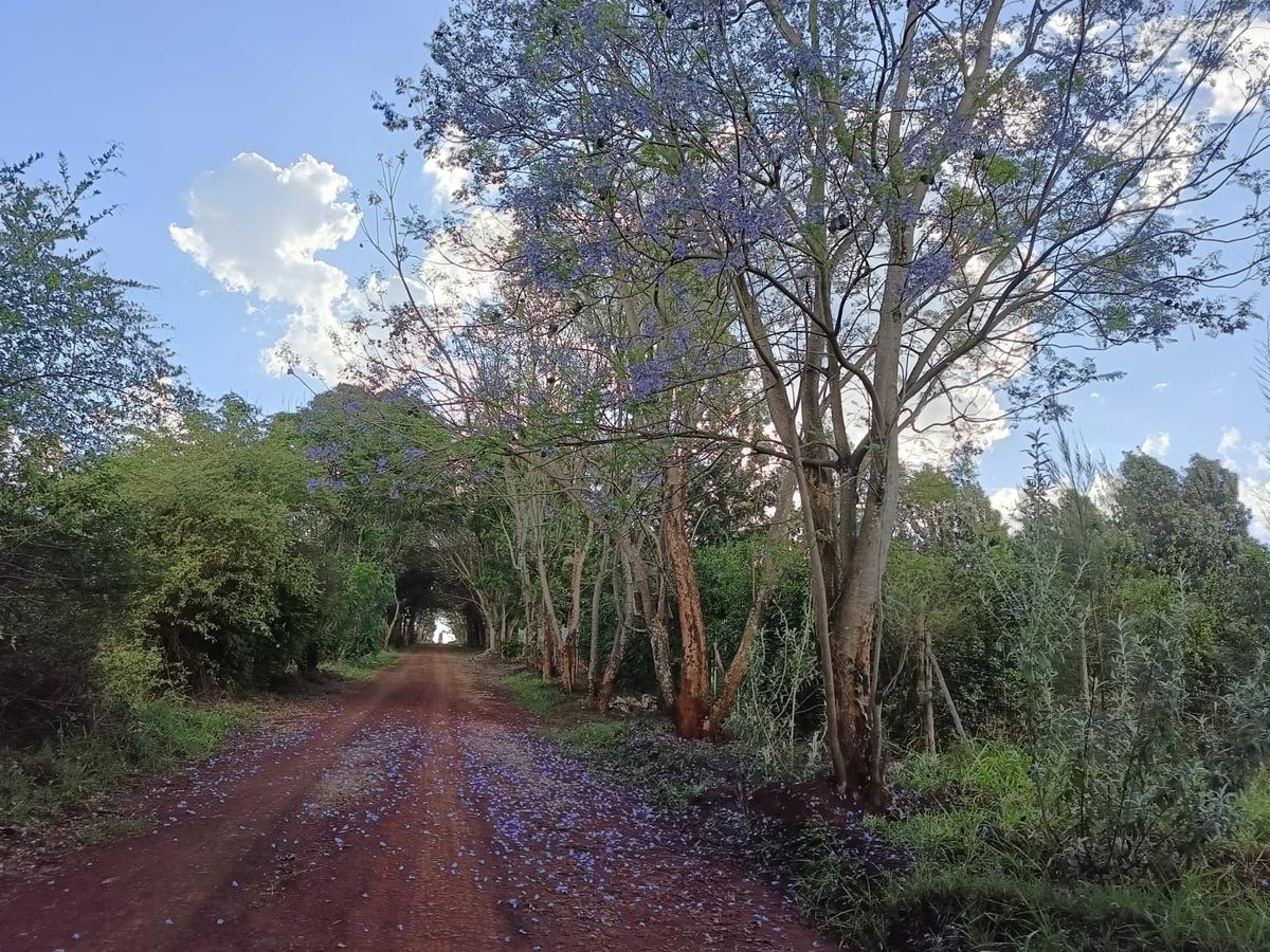 Residential Land at Kiukenda - 2