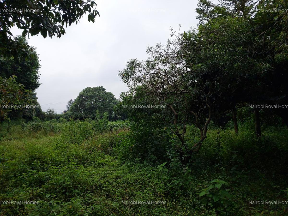 Commercial Land at Redhill Road - 12