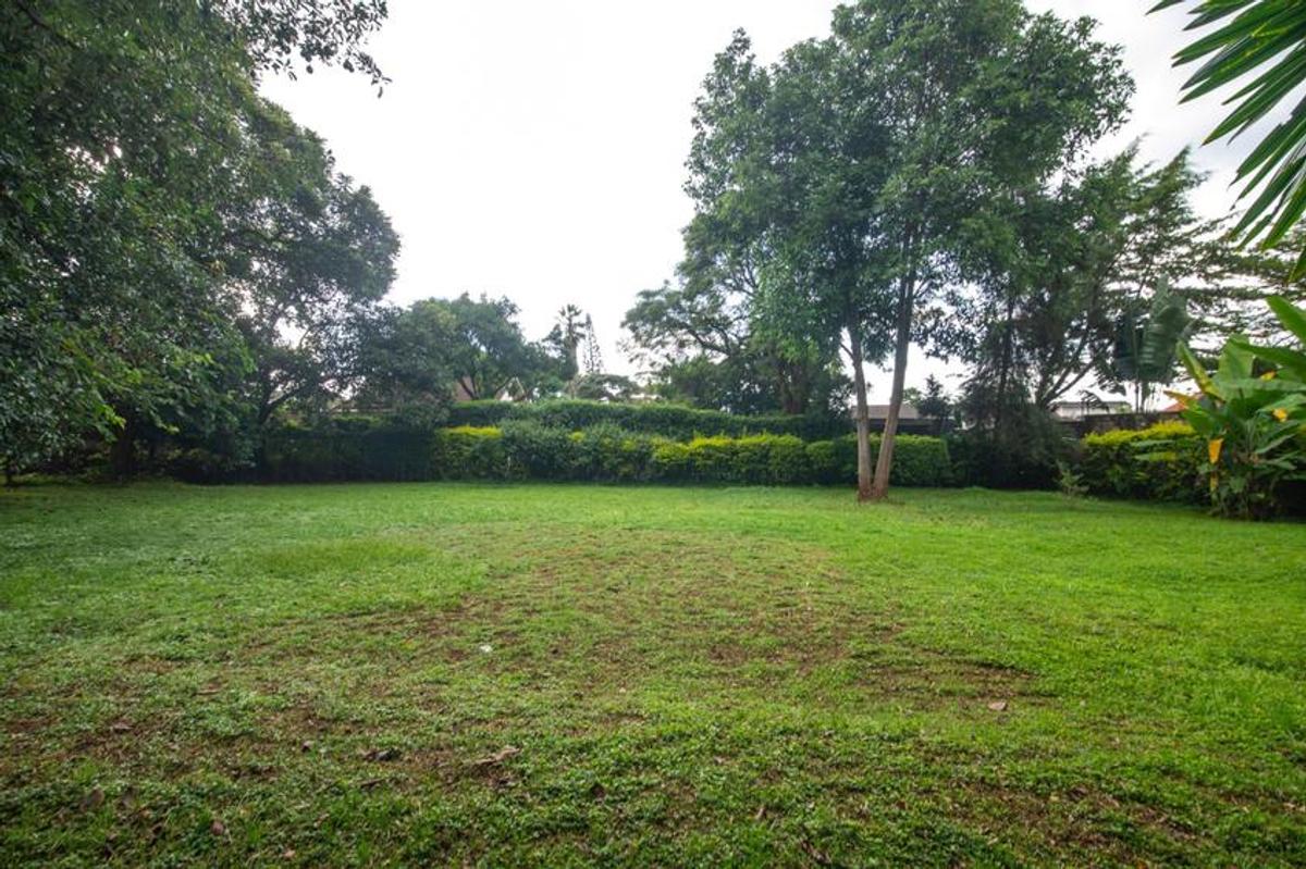 1.25 ac Land in Lavington - 5