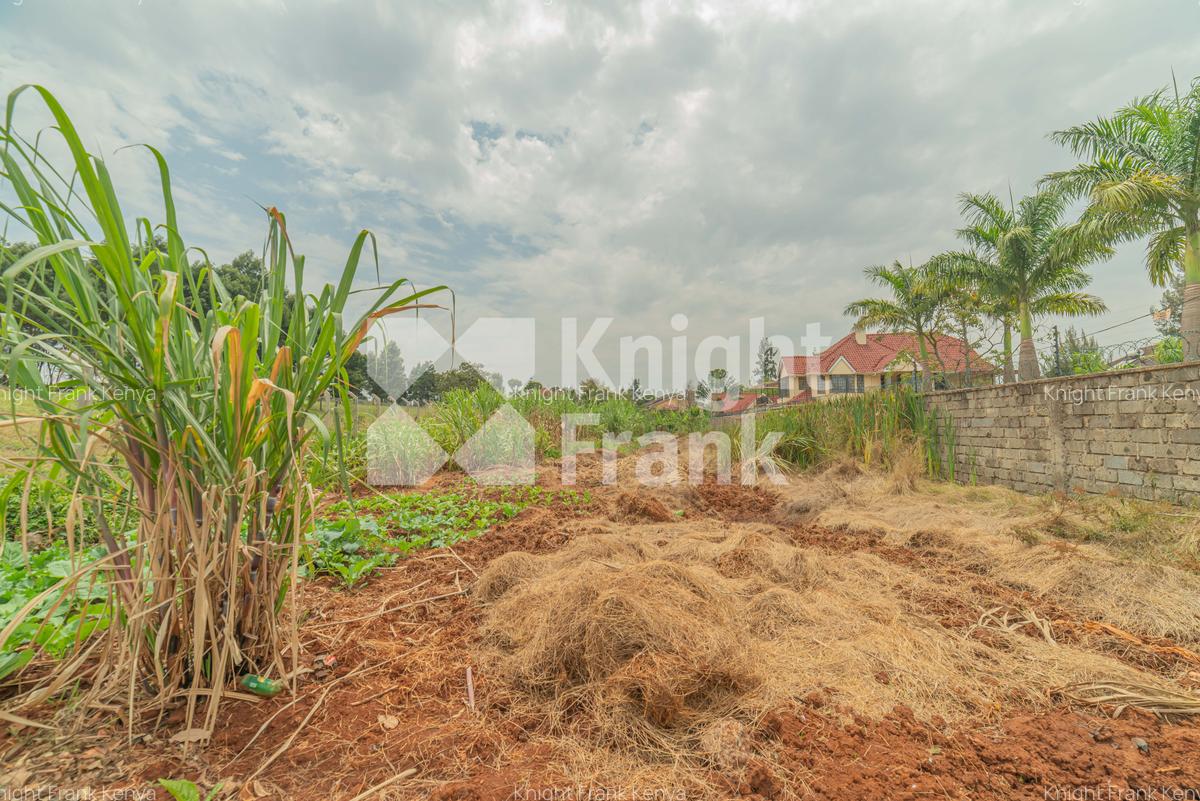0.5 ac Residential Land at Runda Evergreen - 6