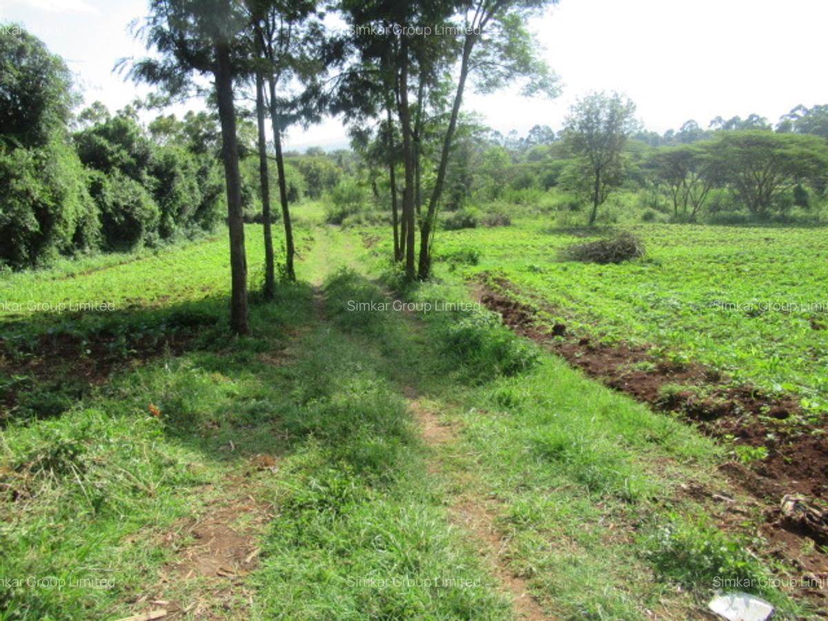 Residential Land at Ololua Ridge - 7