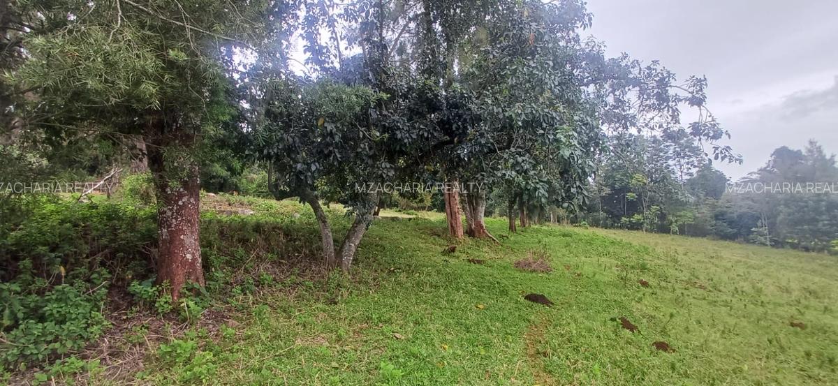 6 ac Land in Tigoni - 5