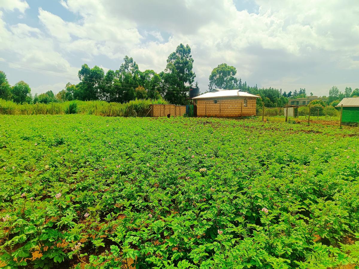 500 m² Residential Land at Ngamba - 1