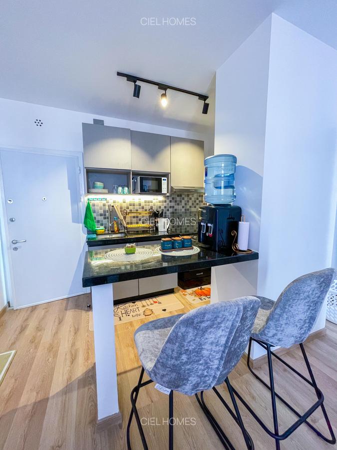 Furnished 1 Bed Apartment with En Suite in Tatu City - 4